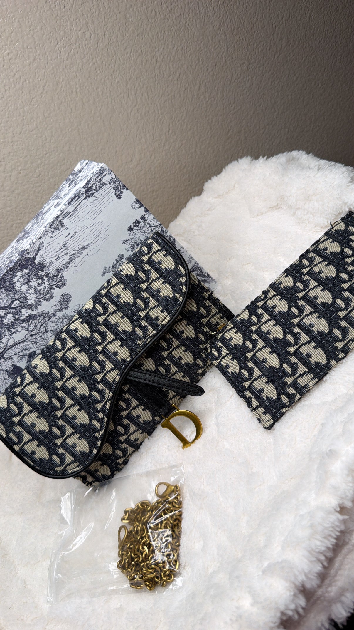 Dior chain bag