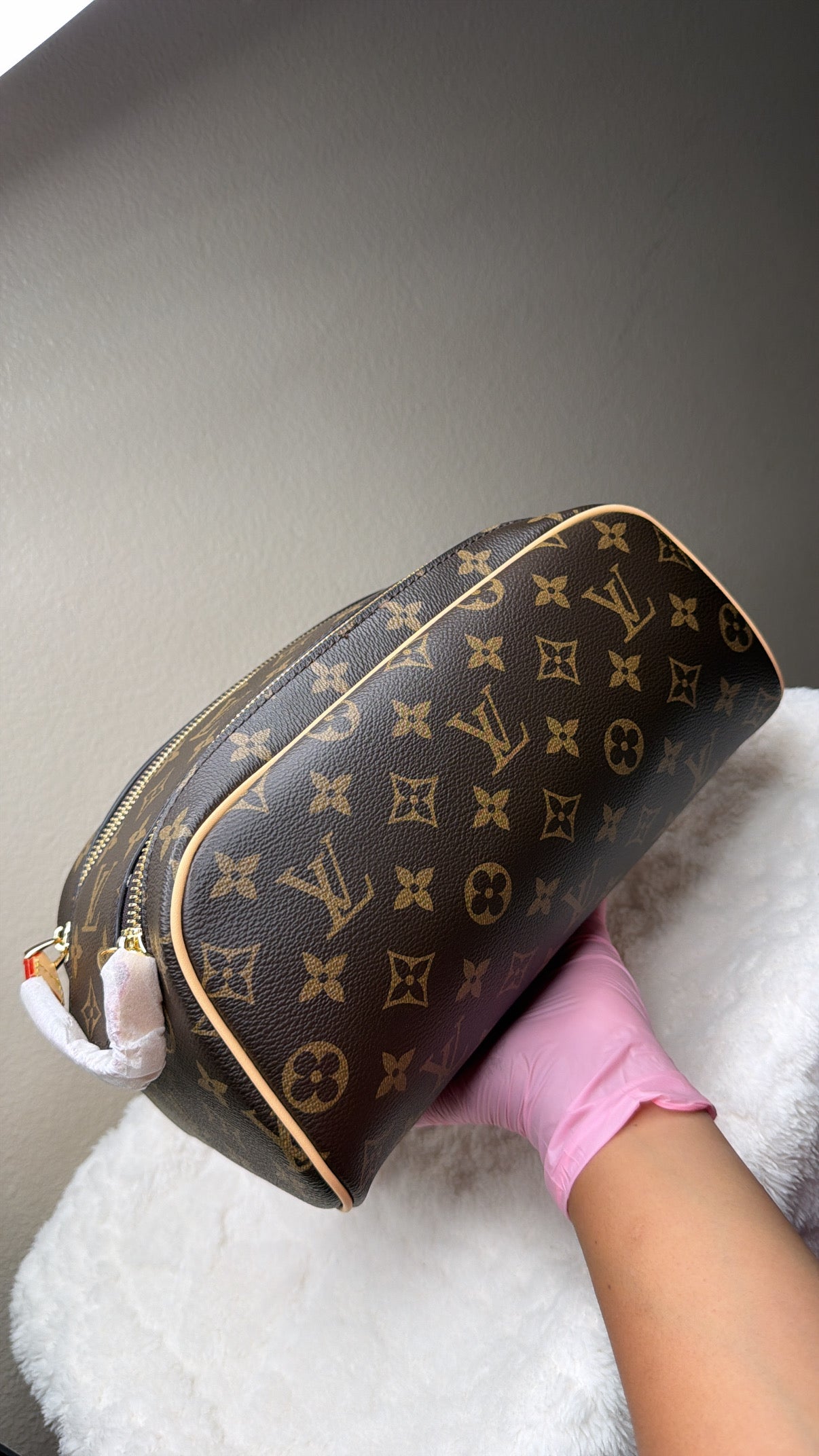 LV Accessories bag