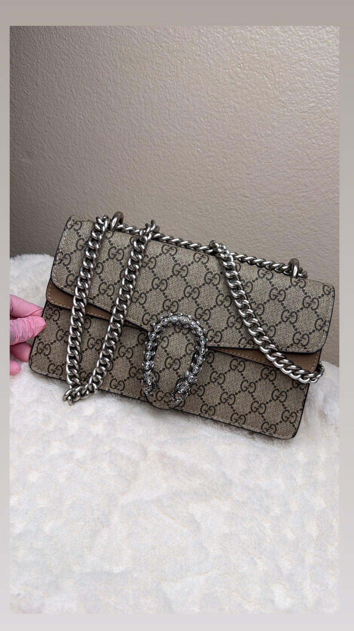 Dino bag