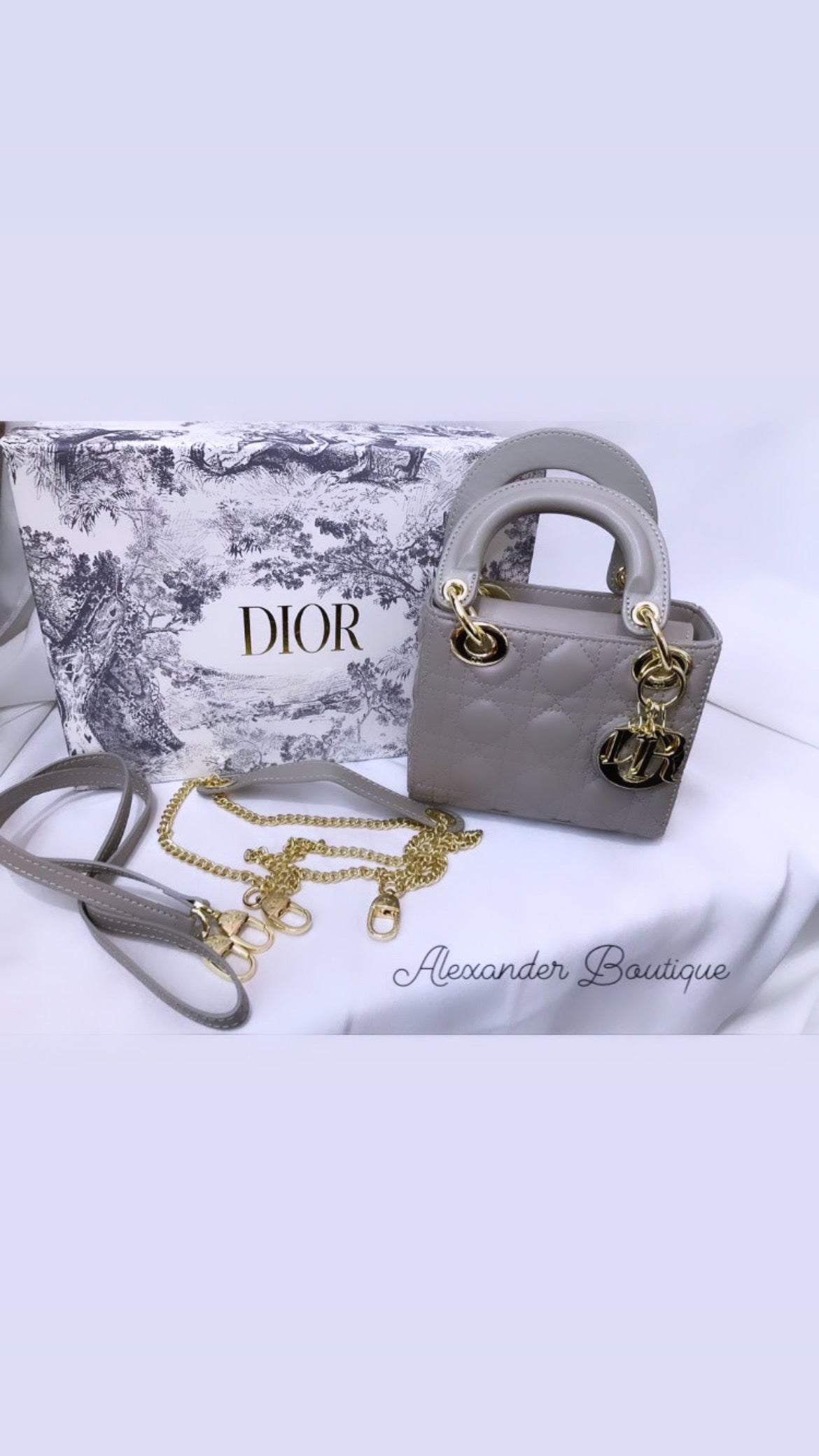Dior mini