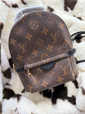 PALM SPRINGS BACKPACK
