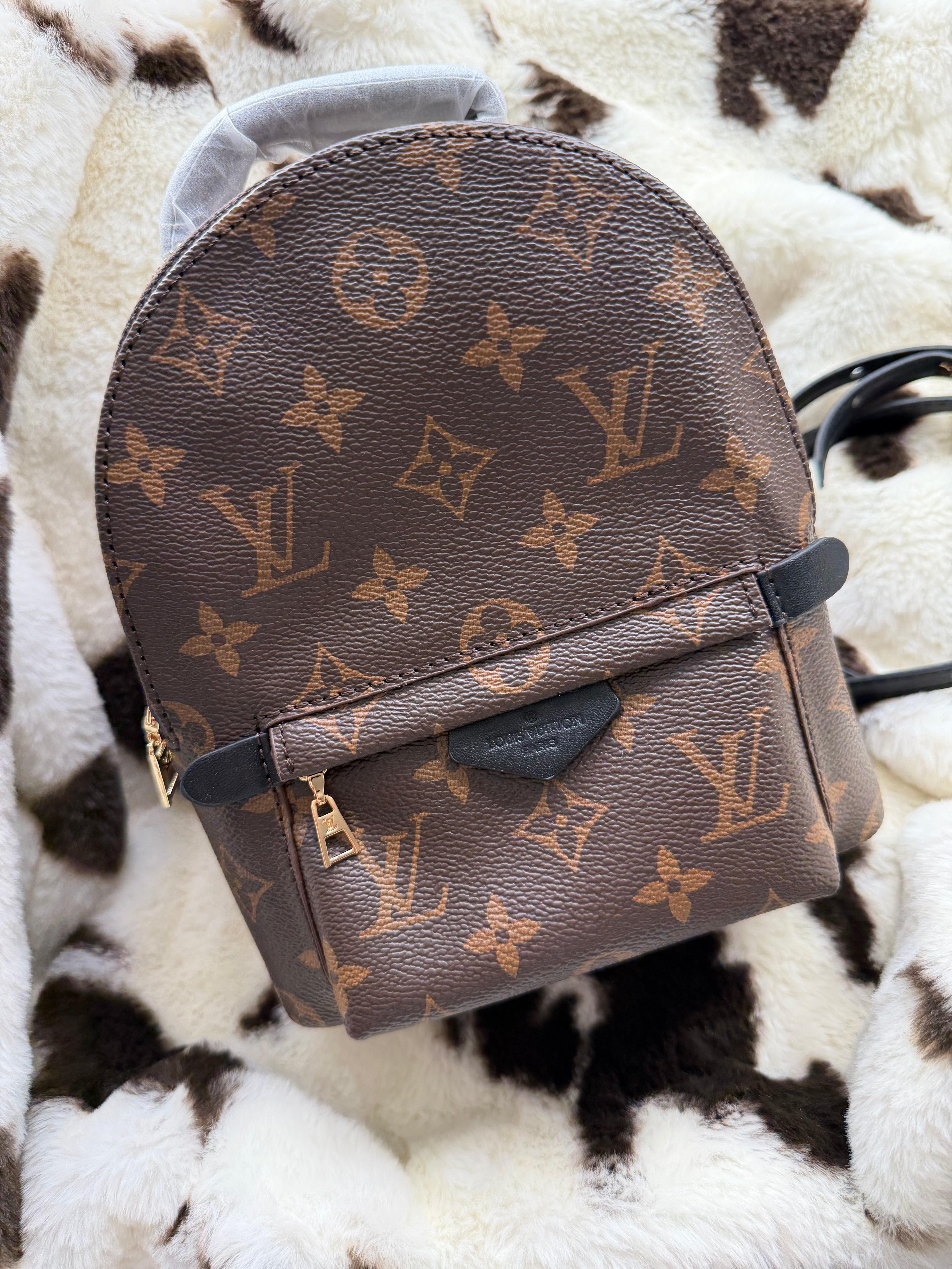 PALM SPRINGS BACKPACK